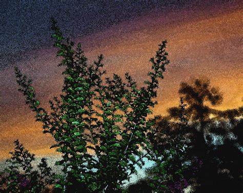 A Journey through Time: The Evolution of Crepe Myrtel Sunset Appreciation